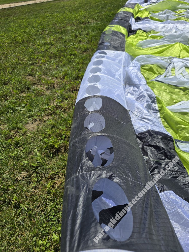 Dudek V king S, 20, 2020, (80-100kg), 15h