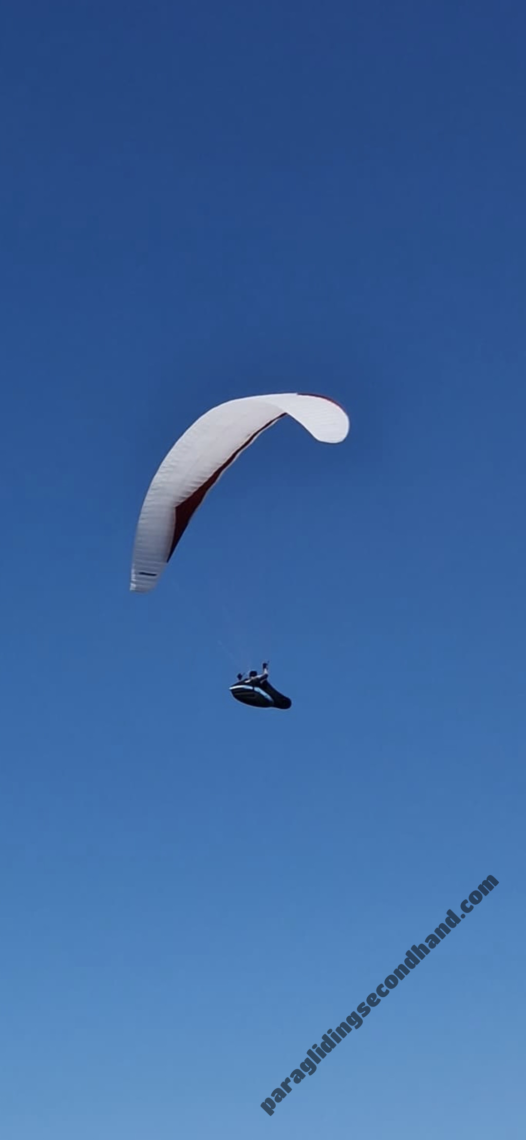 GIN Gliders Bonanza, L, 2024, (105-125kg), 110h