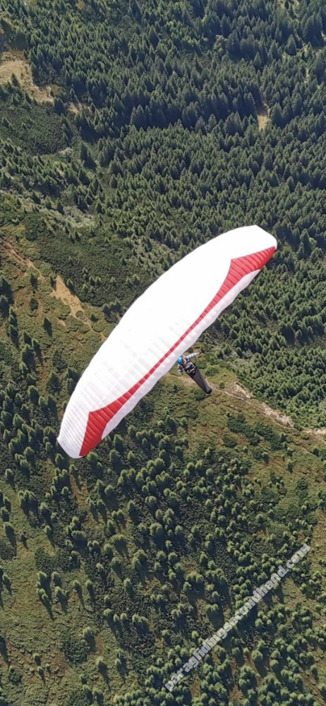 GIN Gliders Bonanza, L, 2024, (105-125kg), 110h