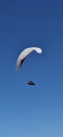 GIN Gliders Bonanza, L, 2023, (105-125kg), 110h