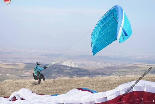 Advance sigma 6, Xs, Wanted