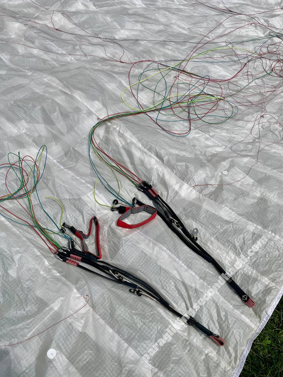 Phi Tenor Light, 17, 2019, (50-75kg), 40h