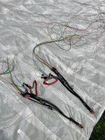 Phi Tenor Light, 17, 2019, (50-75kg), 40h