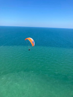 Swing MİTO, S, 2017, (70-95kg), 70h