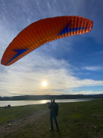 Swing MİTO, S, 2017, (70-95kg), 70h