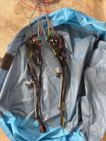 Niviuk Kode P, 20, 2024, (50-110kg), 35h