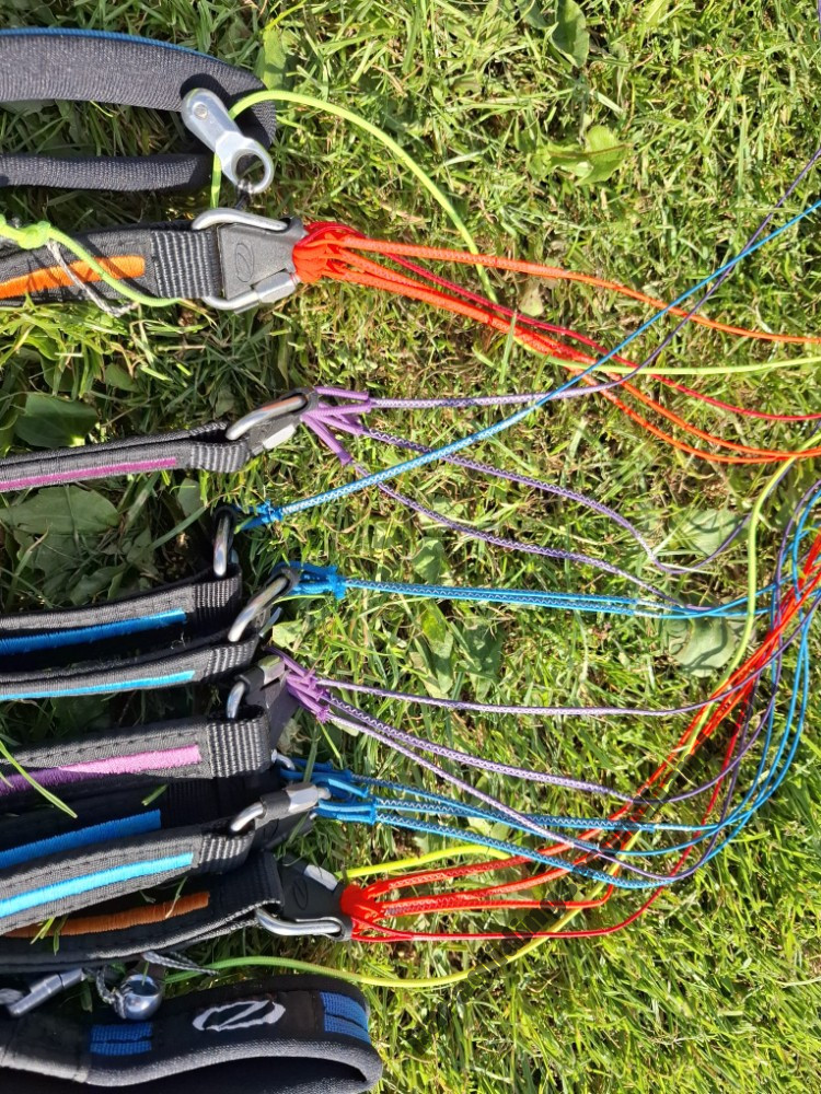 Ozone Buzz Z7, MS, 2024, (75-95kg), 20h