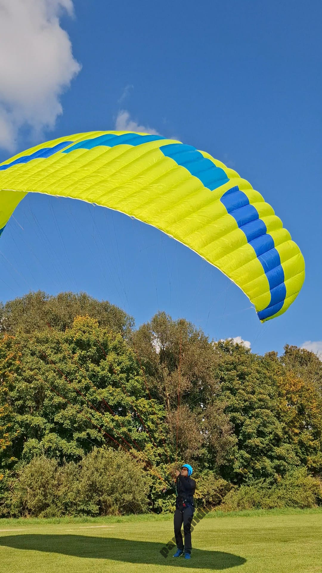 Ozone Buzz Z7, MS, 2024, (75-95kg), 20h