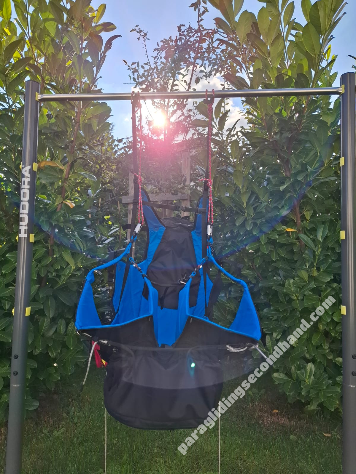 Ozone Switch, M, 2024