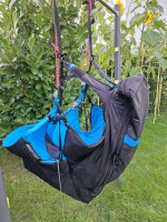 Ozone Switch, M, 2024