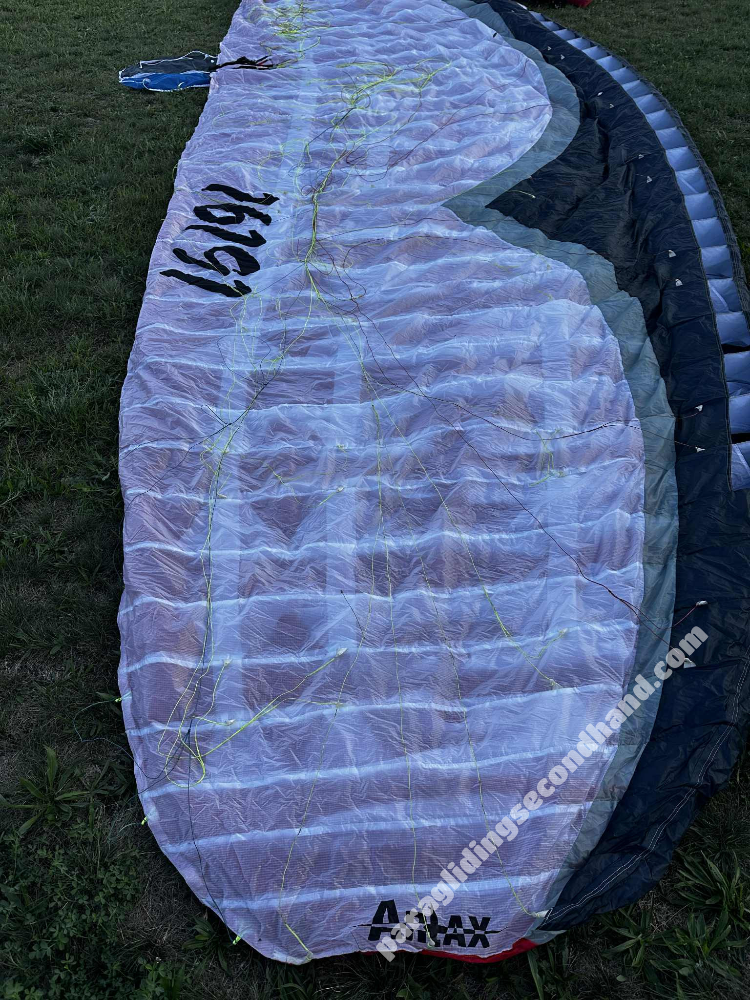 Nova Artax, L, 2003, (100-130kg), 0h