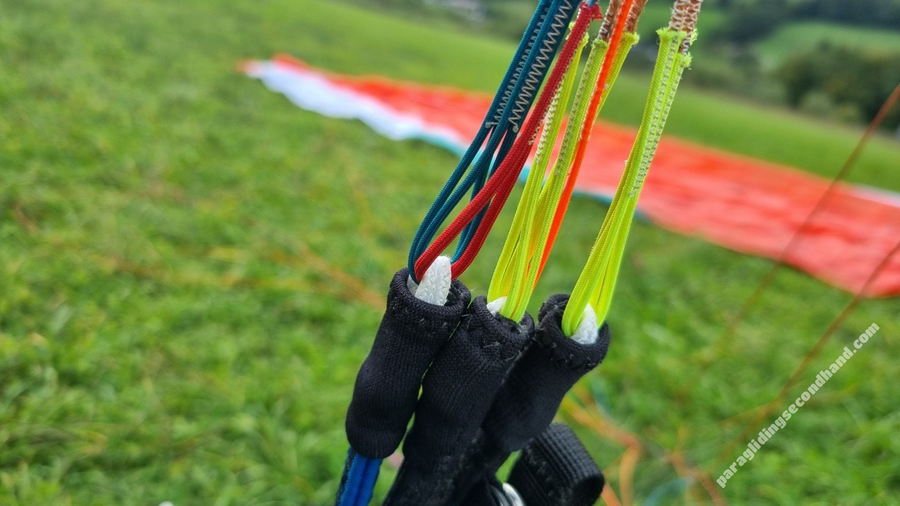 Advance Pi3, 19, 2024, (50-95kg), 10h