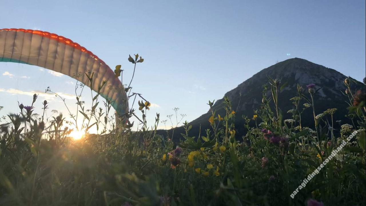 Advance Alpha 7, 26, 2022, (70-110kg), 140h