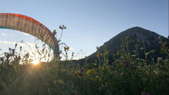 Advance Alpha 7, 26, 2022, (70-110kg), 140h