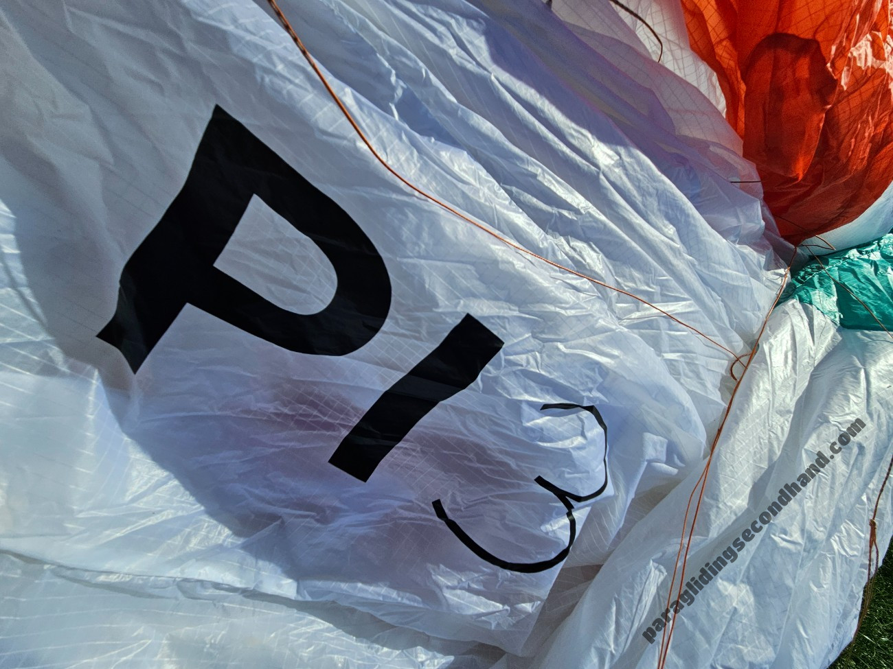 Advance Pi3, 19, 2022, (50-95kg), 1h