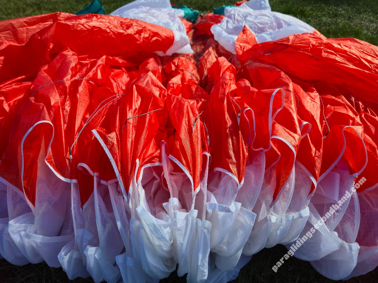 Advance Pi3, 25, 2023, (80-120kg), 1h