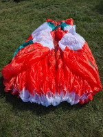 Advance Pi3, 25, 2023, (80-120kg), 1h