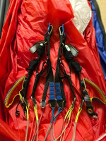 Advance Bibeta, 38, 2017, (100-180kg), 15h