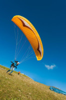 GIN Gliders Bolero 5, XXS, 2016, (55-75kg), 35h