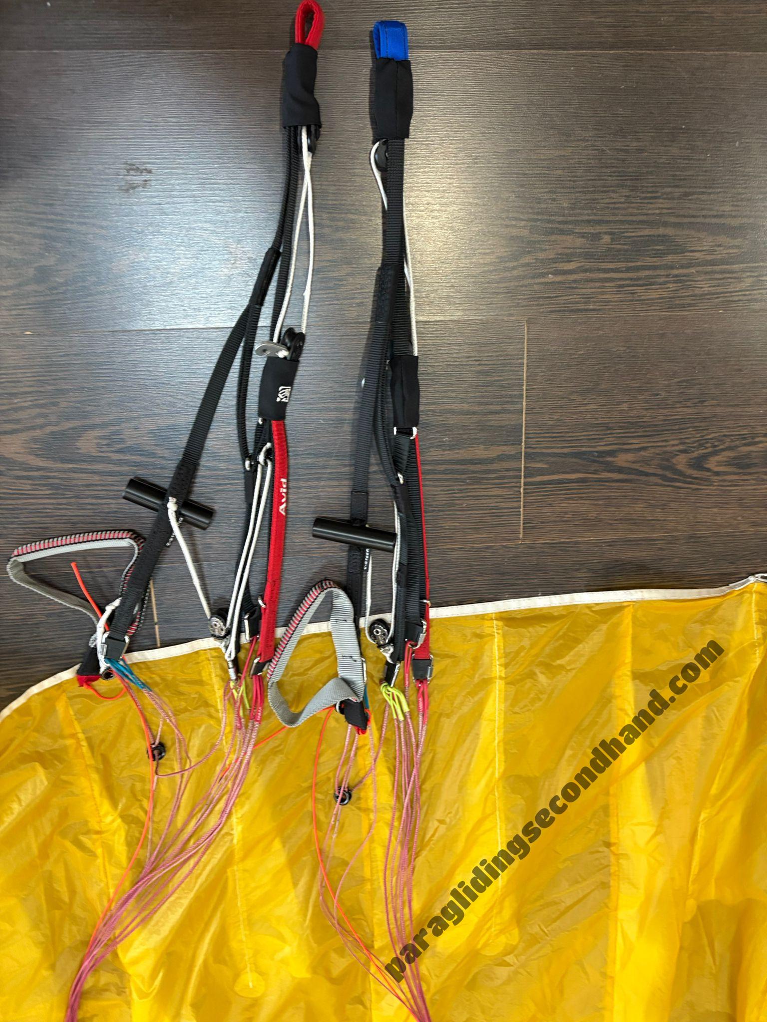 GIN Gliders AVID, L, 2024, (95-119kg), 20h