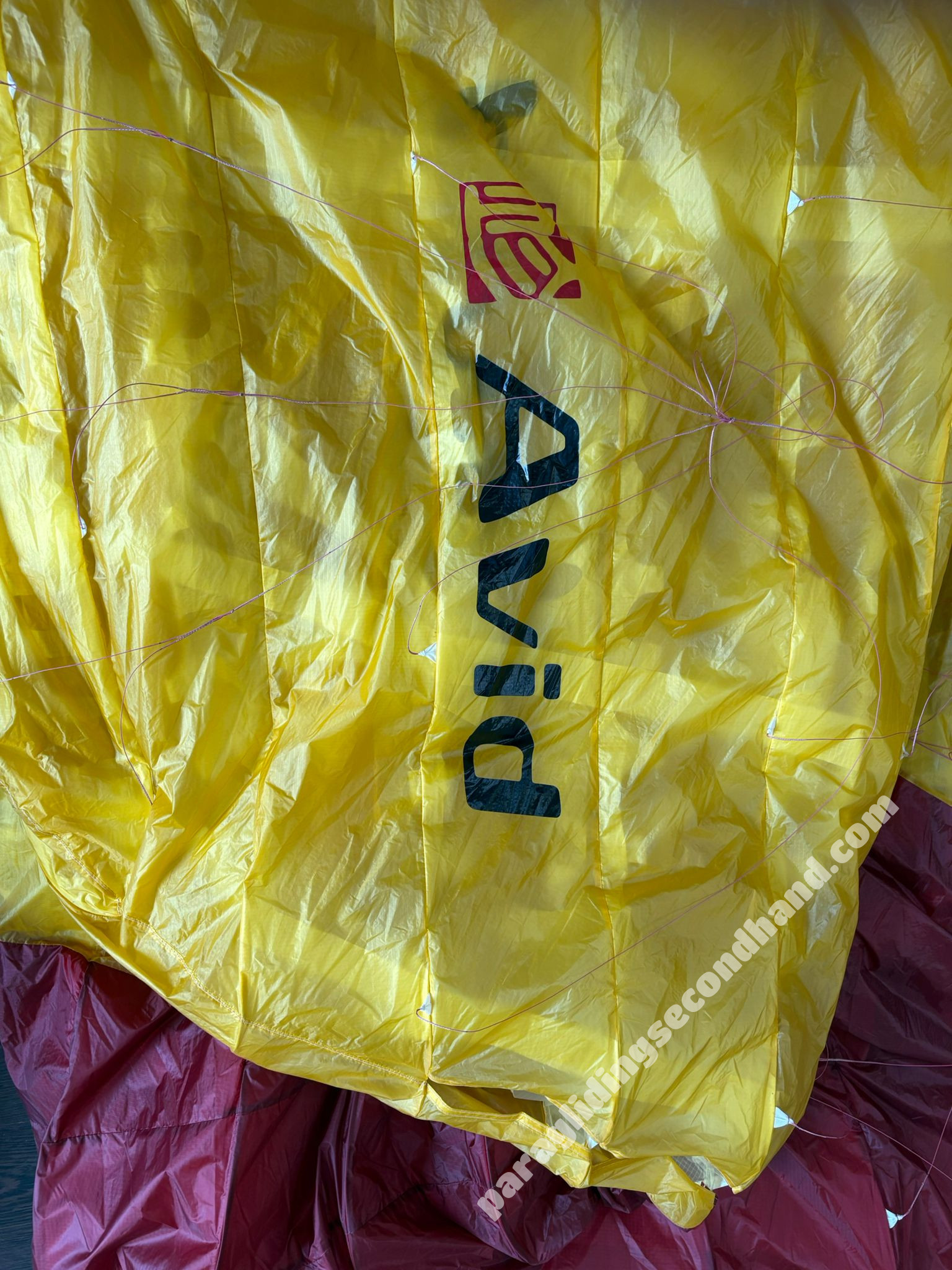 GIN Gliders AVID, L, 2024, (95-119kg), 20h