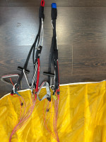 GIN Gliders AVID, L, 2024, (95-119kg), 20h