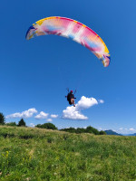 BGD Lynx2, XS, 2023, (60-75kg), 120h