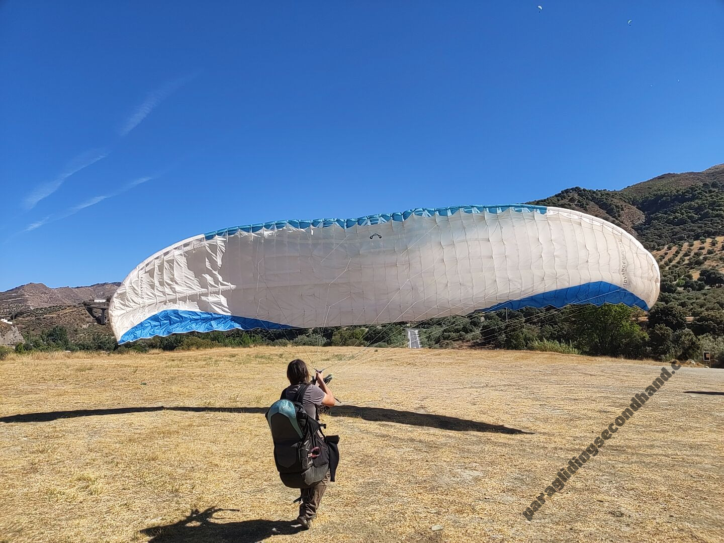 Advance Bibeta 6, 41m, 2023, (120-225kg), 110h