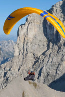 Wanted Ozone Rush 6 s or Swift 6 s