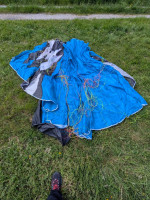 Phi Beat, 18, 2020, (50-75kg), 15h