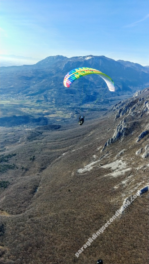 BGD Magic, XS, 2022, (50-70kg), 64h