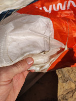 Skywalk Mint, 95, 2023, (75-95kg), 170h