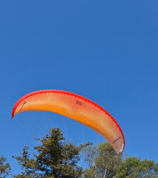 Ozone Buzz Z6, XS, 2023, (55-70kg), 60h