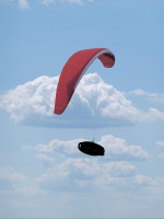 GIN Gliders Camino, M, 2020, (85-105kg), 200h