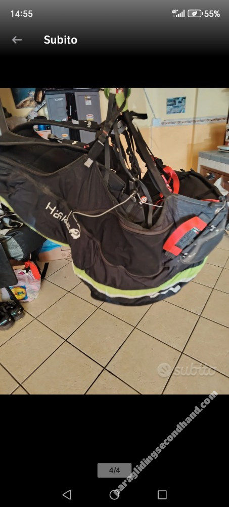 Woody Valley Haska 2, M, 2016