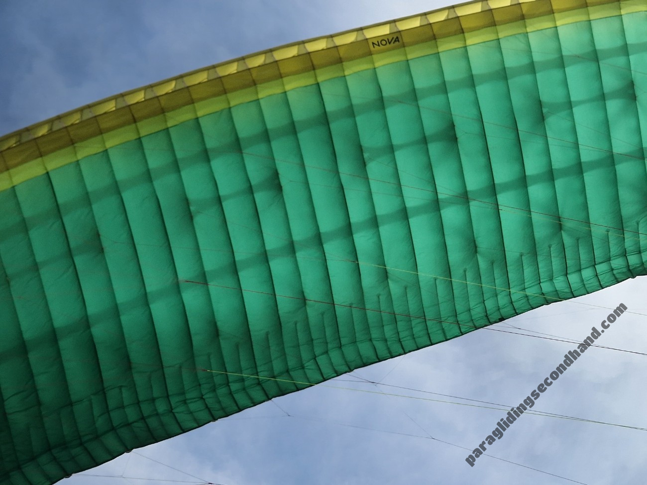 Nova Mentror 6 L, L, 2022, (100-130kg), 50h