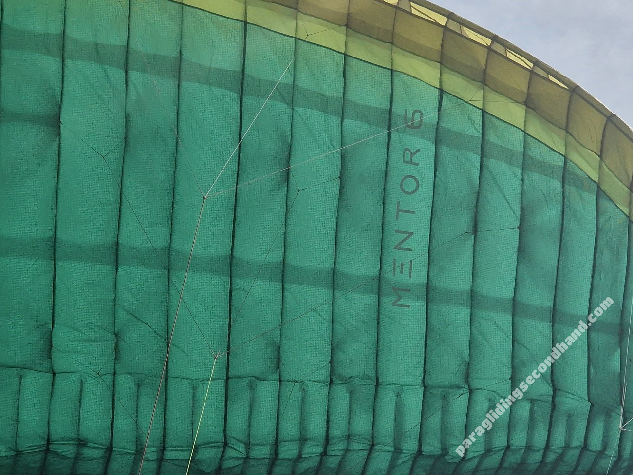 Nova Mentror 6 L, L, 2022, (100-130kg), 50h