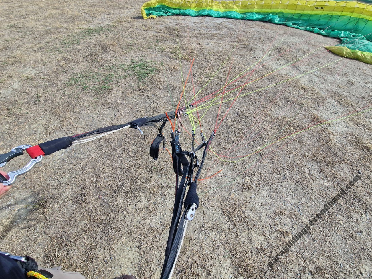 Nova Mentror 6 L, L, 2022, (100-130kg), 50h