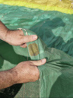 Nova Mentror 6 L, L, 2022, (100-130kg), 50h