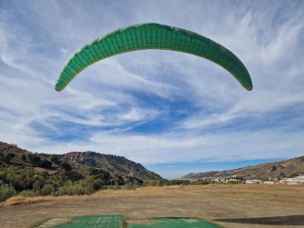 Nova Mentror 6 L, L, 2022, (100-130kg), 50h