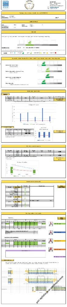 Niviuk Koyot 4, 24, 2022, (60-80kg), 100h