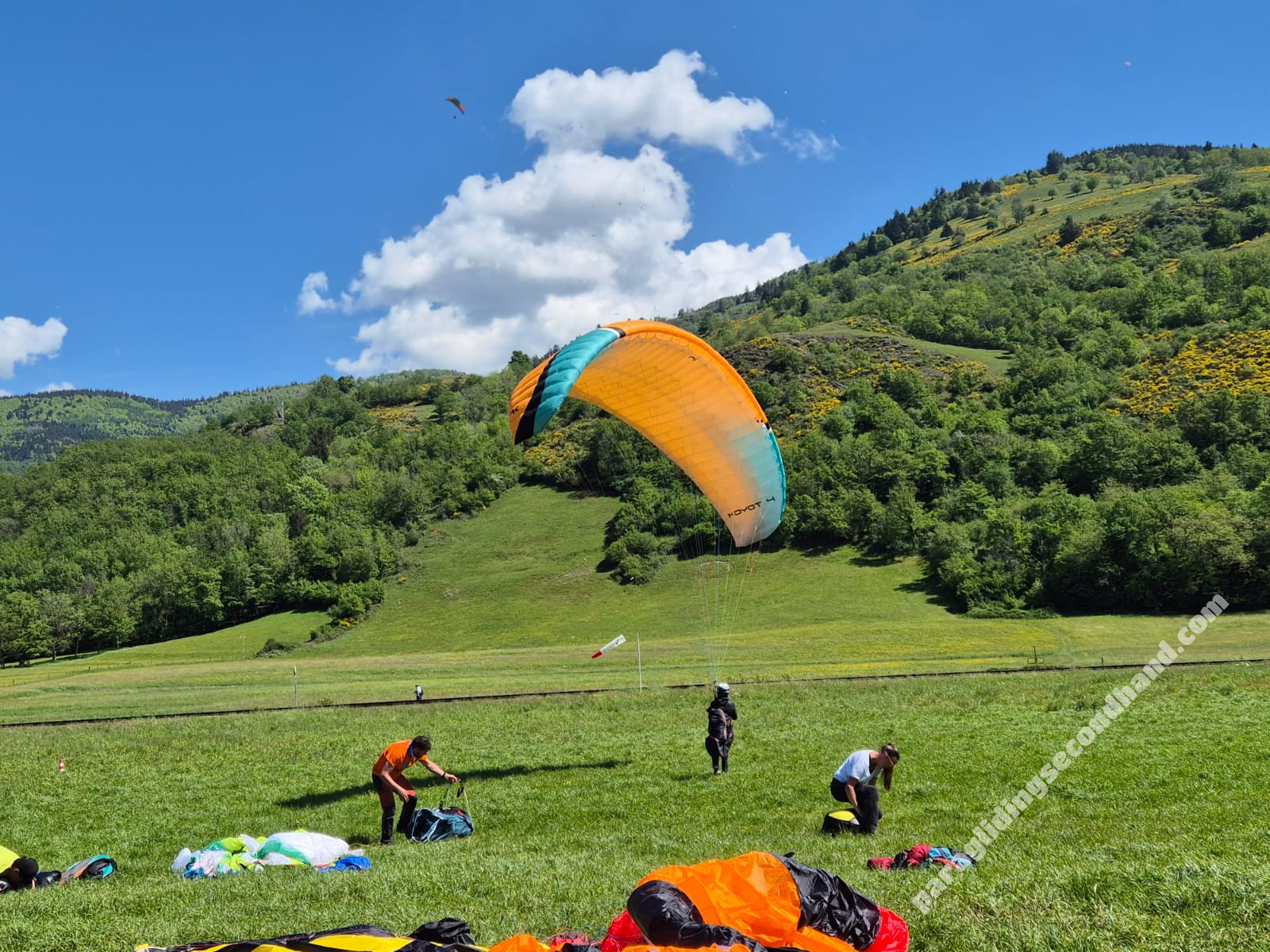 Niviuk Koyot 4, 24, 2022, (60-80kg), 100h