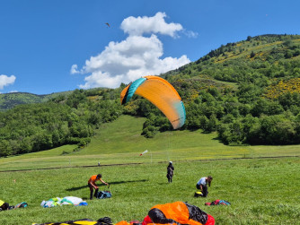 Niviuk Koyot 4, 24, 2022, (60-80kg), 100h