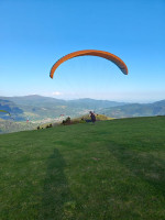 Niviuk Koyot 4, 24, 2022, (60-80kg), 100h