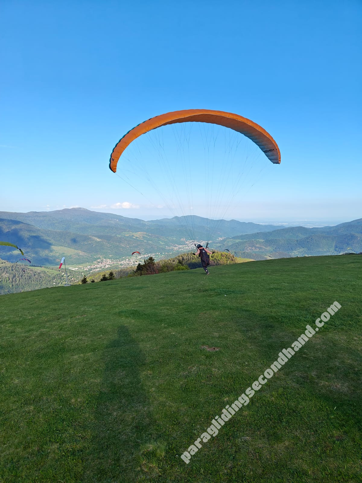 Niviuk Koyot 4, 24, 2022, (60-80kg), 100h