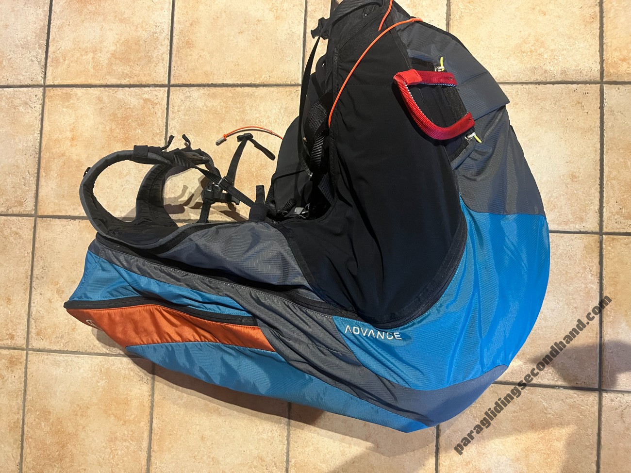 Advance Success, M, 2019