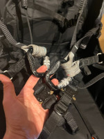 Advance Success, M, 2019