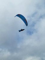 Ozone Zeno 2, MS, 2022, (85-100kg), 220h