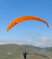 Phi Maestro 2, 21, 2024, (75-95kg), 30h