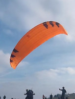 Phi Maestro 2, 21, 2024, (75-95kg), 30h